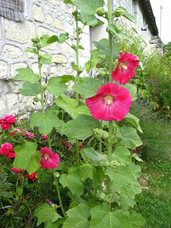 La Balastiere Beaumont-en-Véron Εξωτερικό φωτογραφία